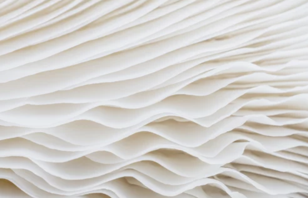 Looks like an water organism